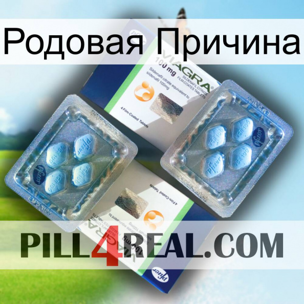 Родовая Причина viagra5.jpg